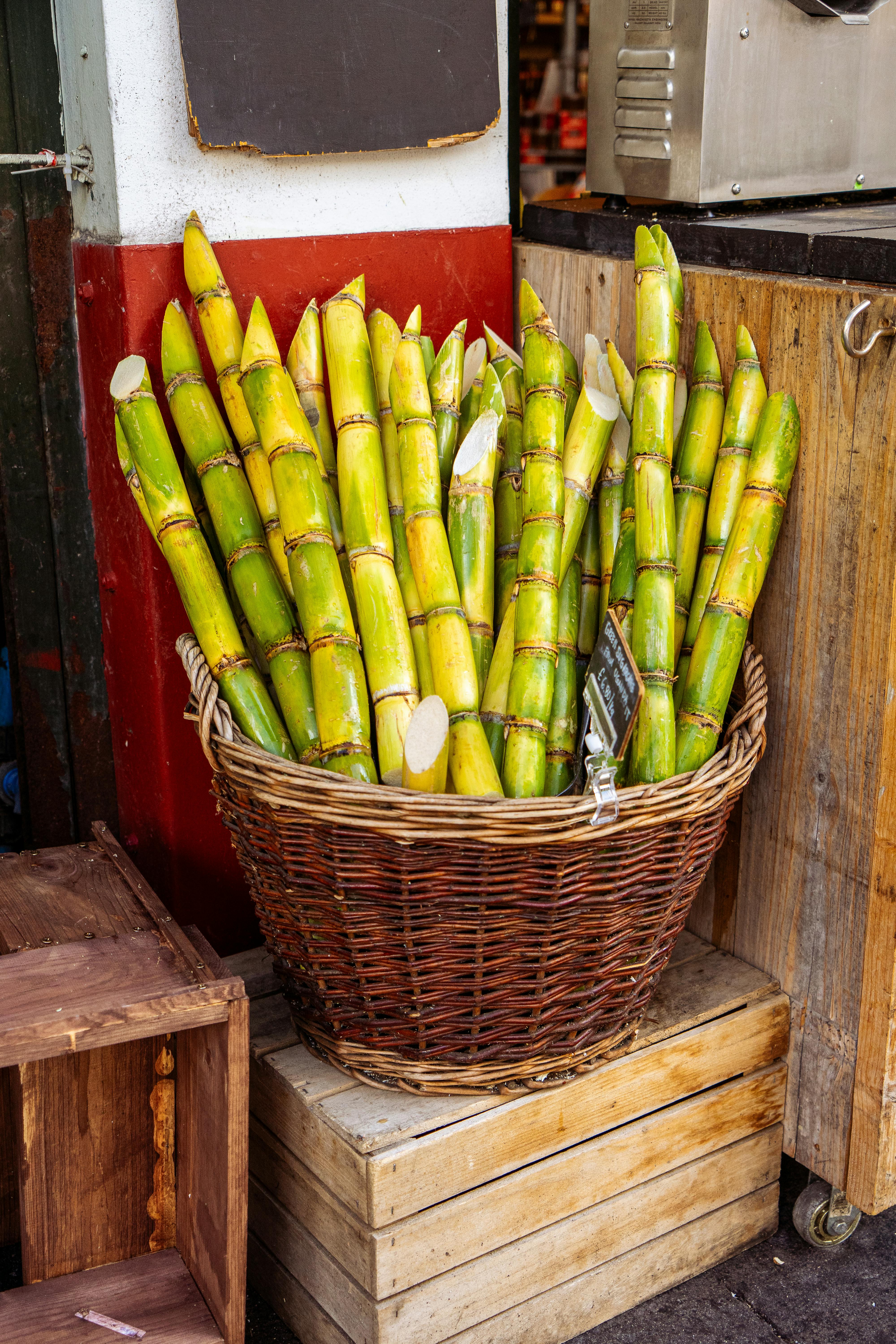 Sugarcane Plates